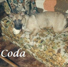 Coda .2001-2015